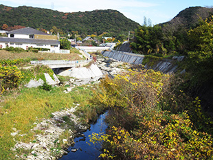 伊川（明石川水系）河川②